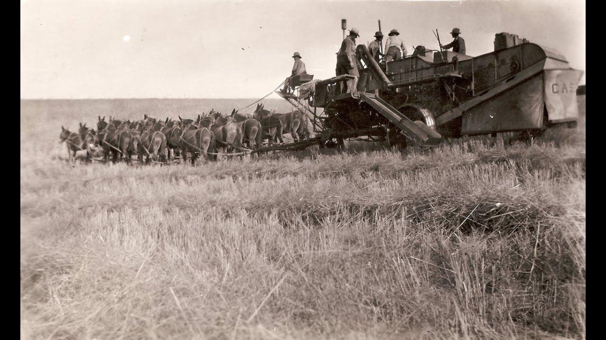 Зерноуборочный комбайн Сталинец-6