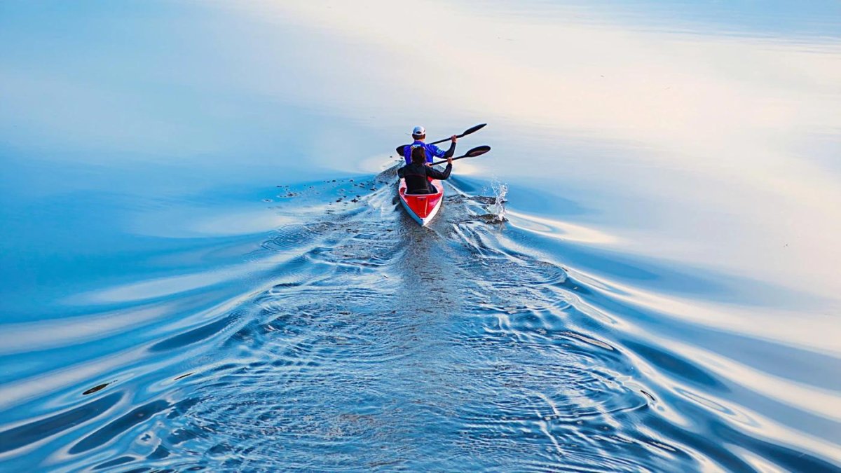 Гребцы Академическая гребля