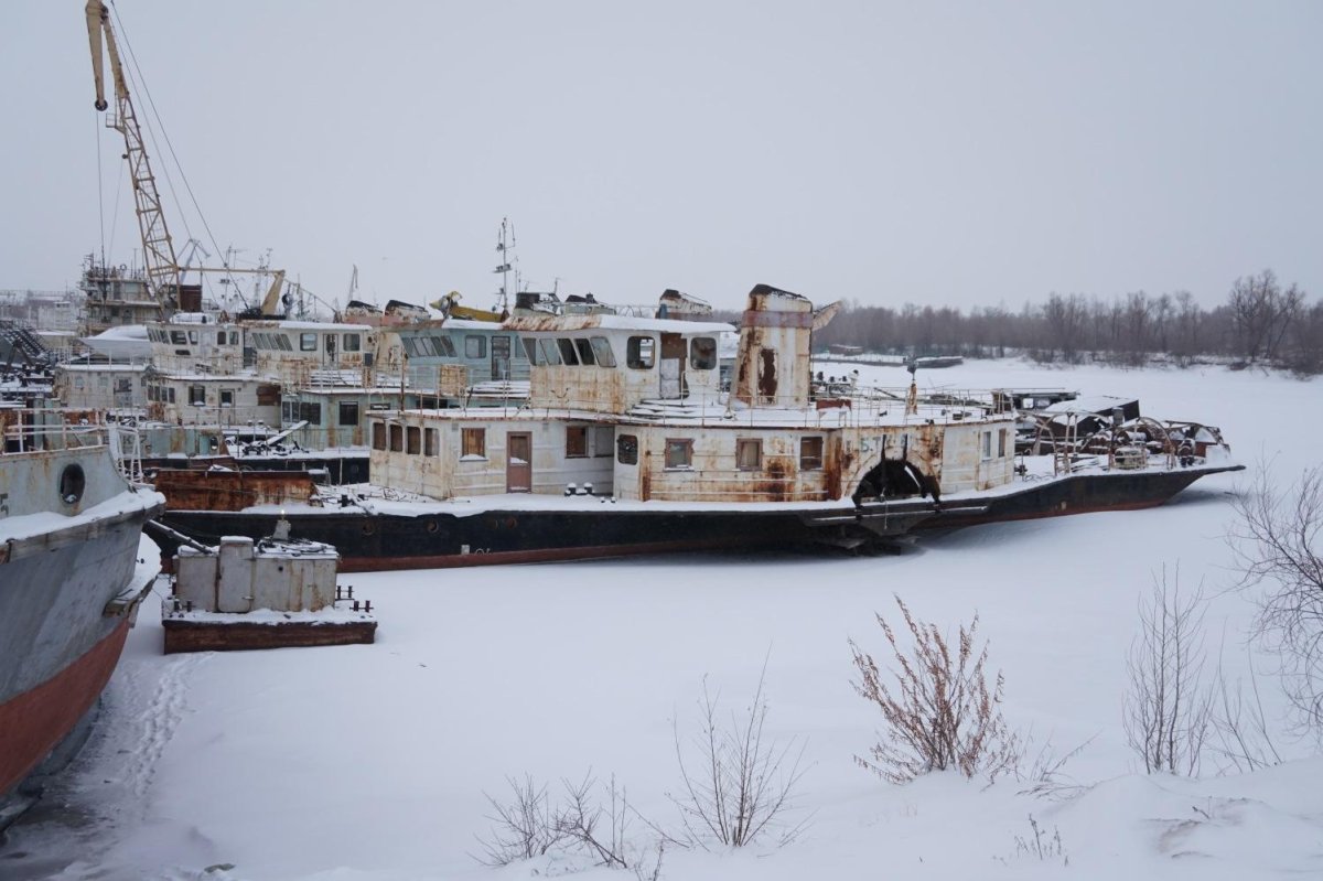 Речные толкачи БТК