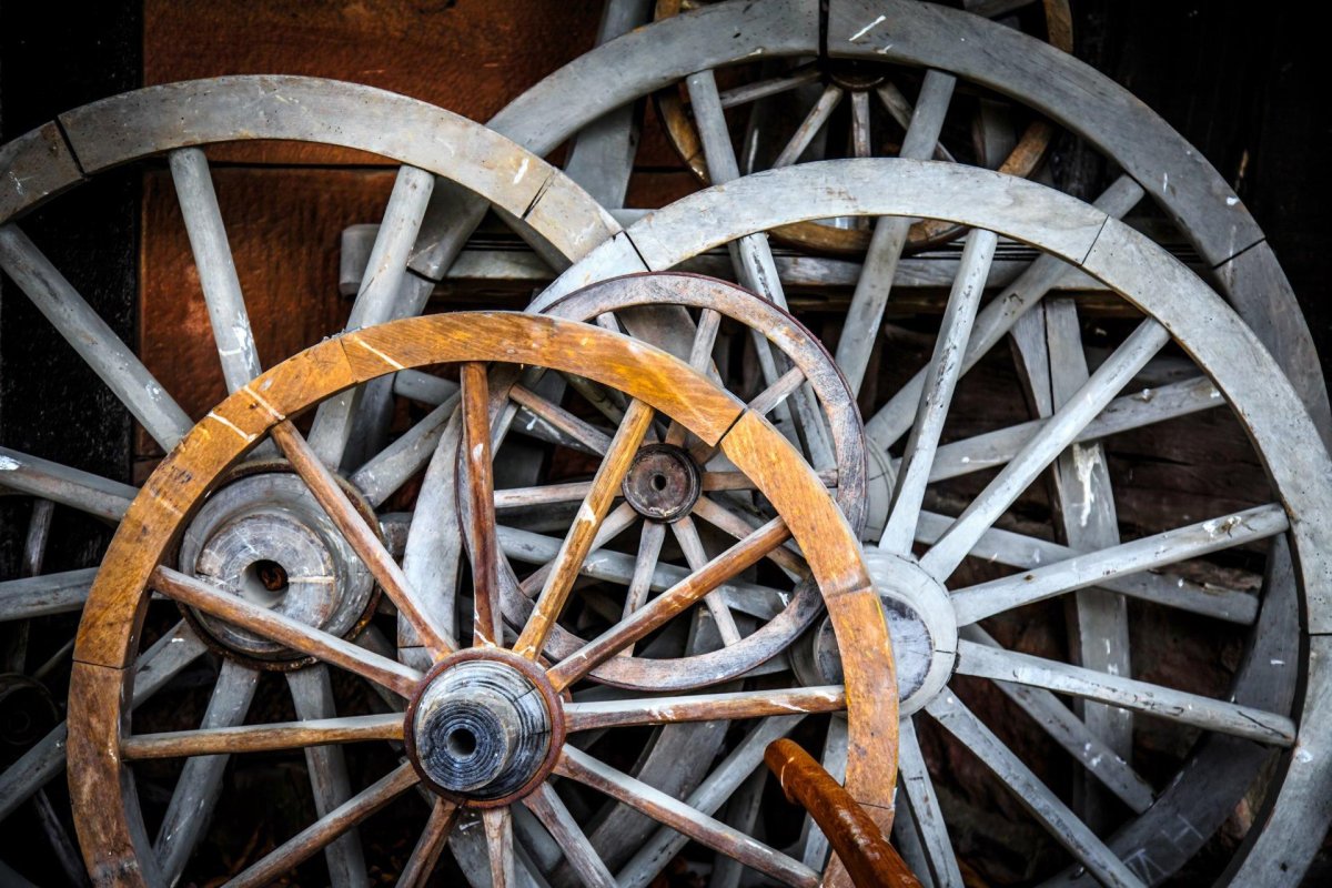 Лошадь на колесах