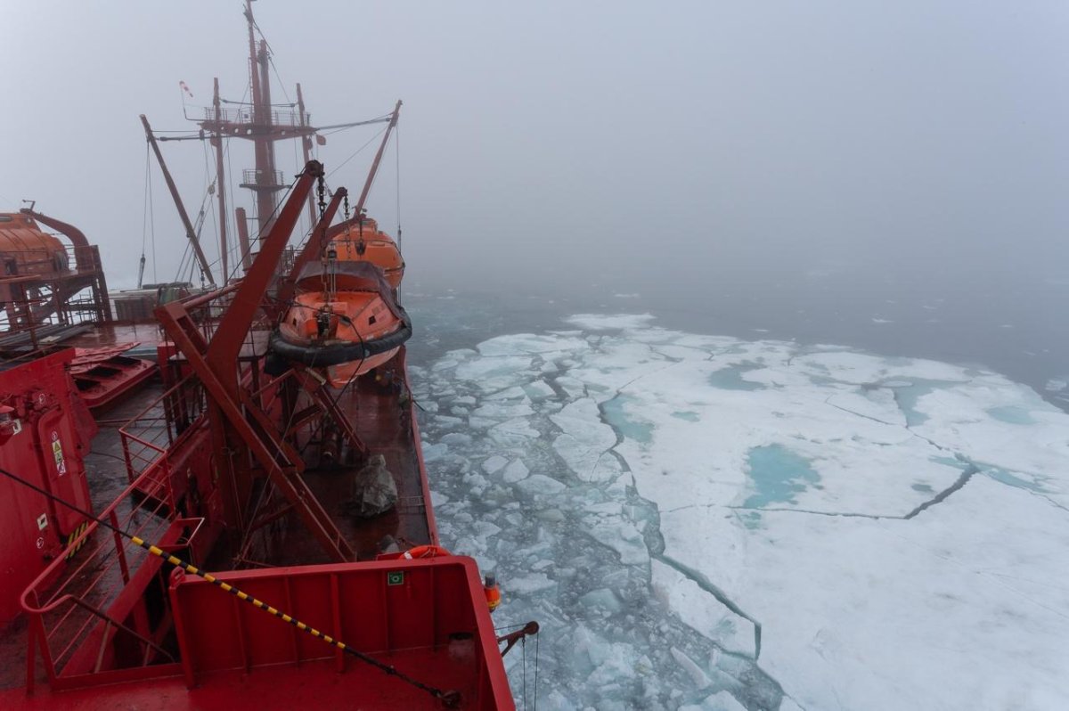 Ледокол Михаил сомов
