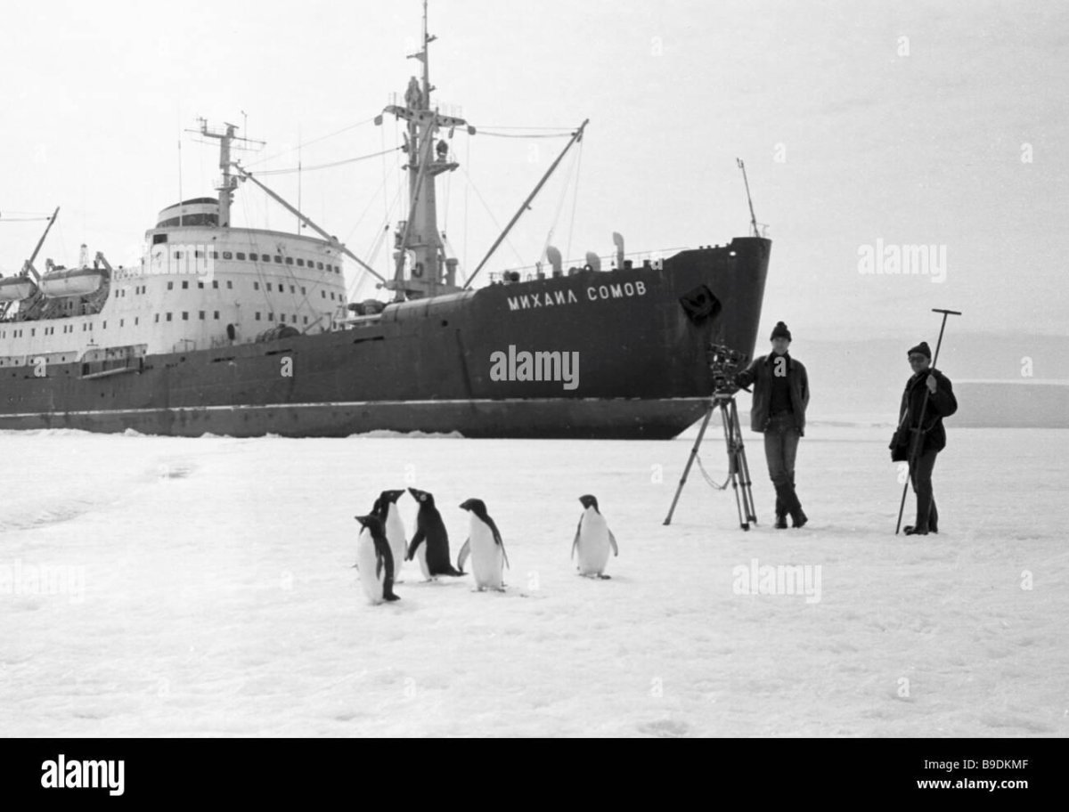 Михаил сомов ледокол 1985 дрейф