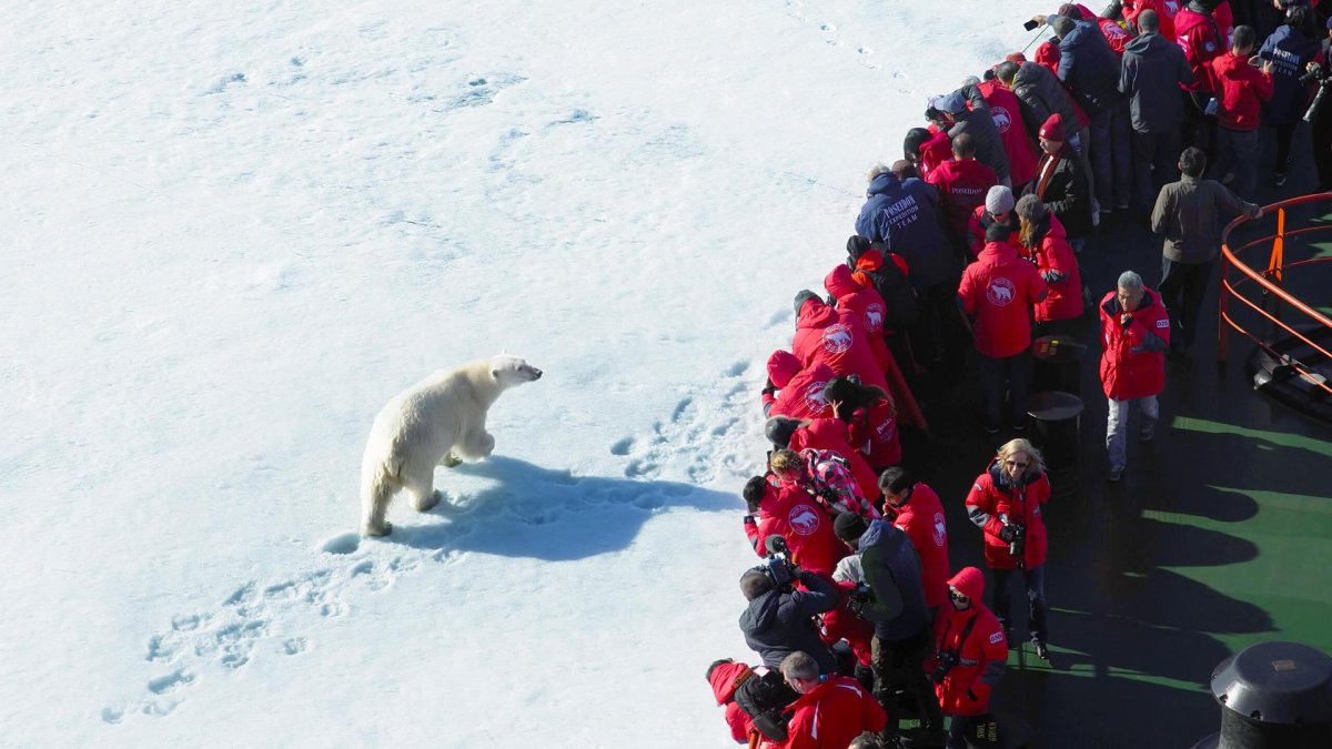 Ледокол 50 лет Победы круиз на Северный полюс