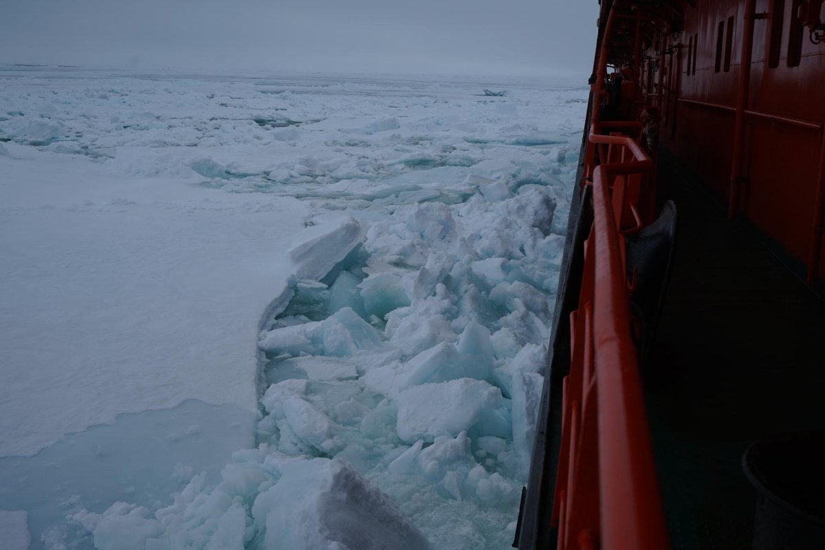 Северный полюс