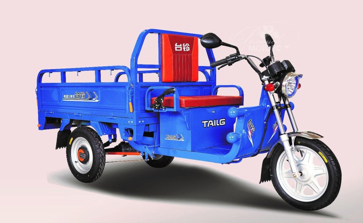 Электротрицикл TAILG tl800dqz-40z