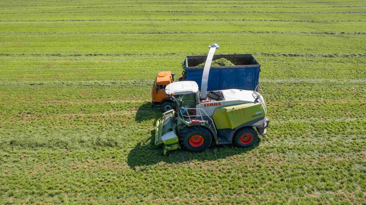 ООО АПК Черноземье филиал Южный