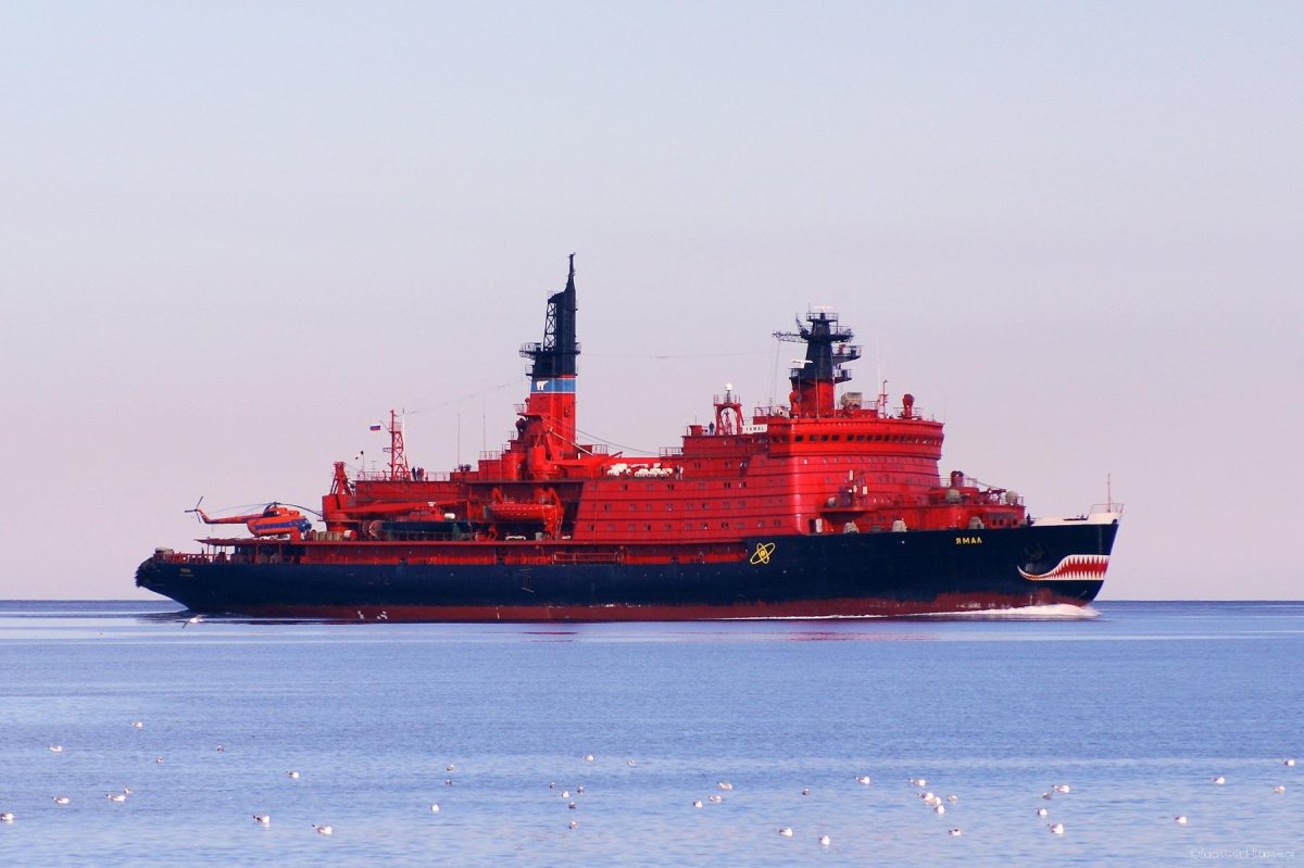 Росатомфлот ледокол Ямал