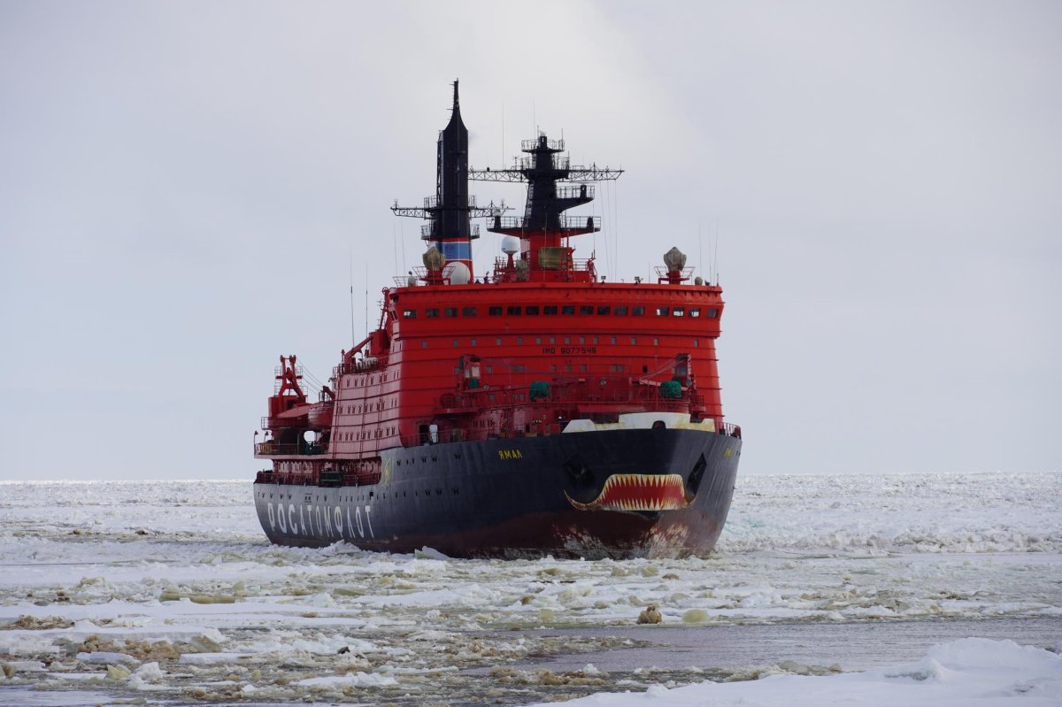 Волк Арктики судно