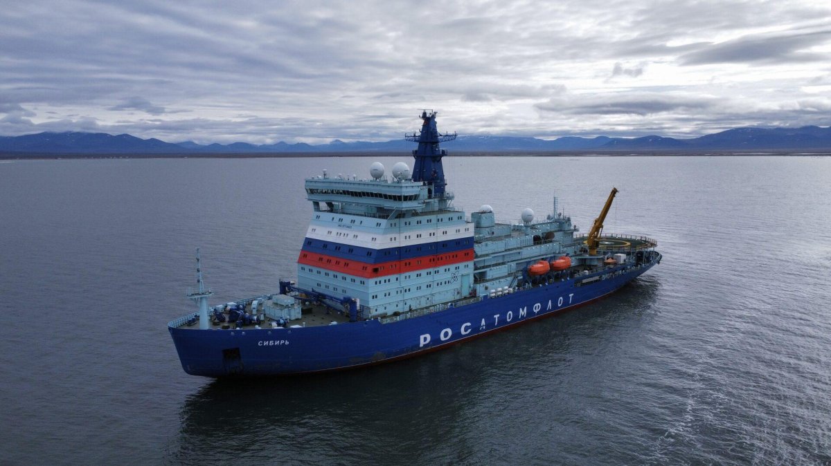 Анна Николайчик Архангельск