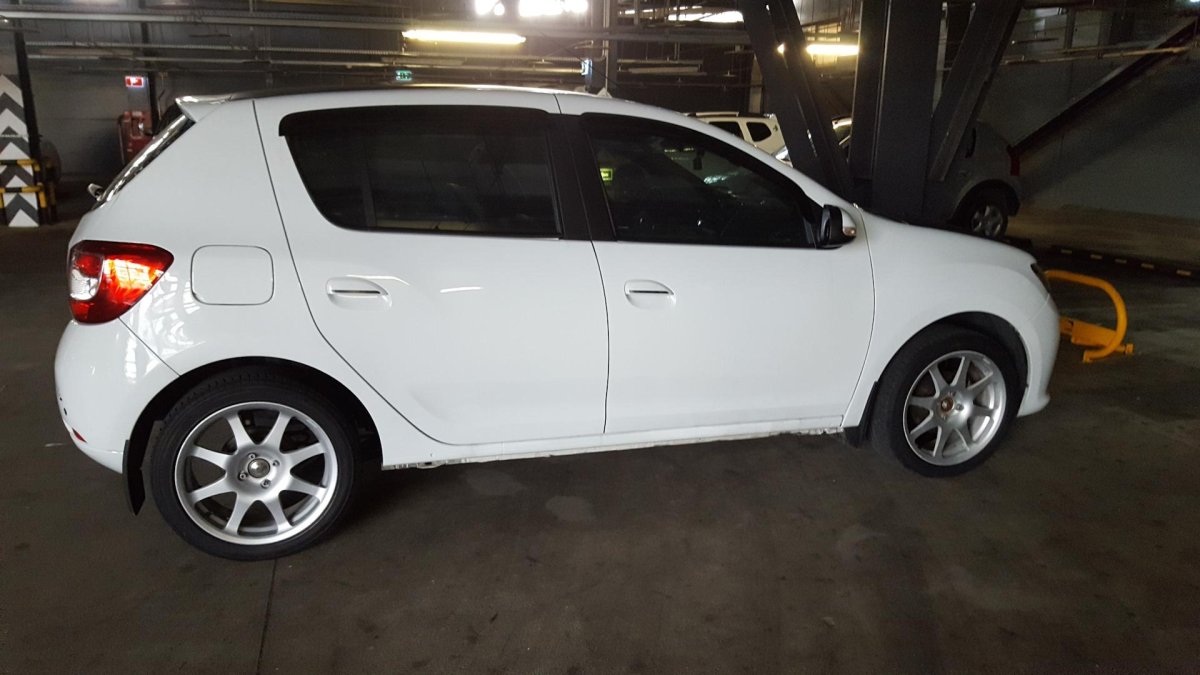 Рено Сандеро r17