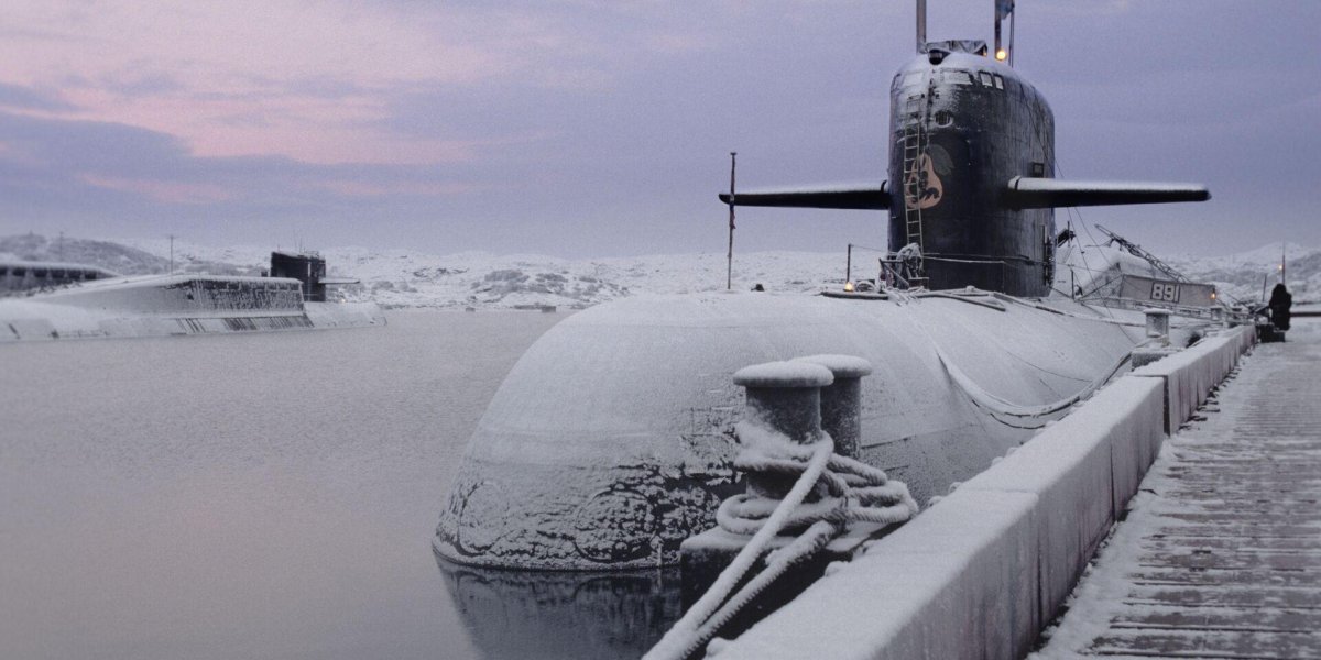 Подводные лодки проекта 667бдрм «Дельфин»