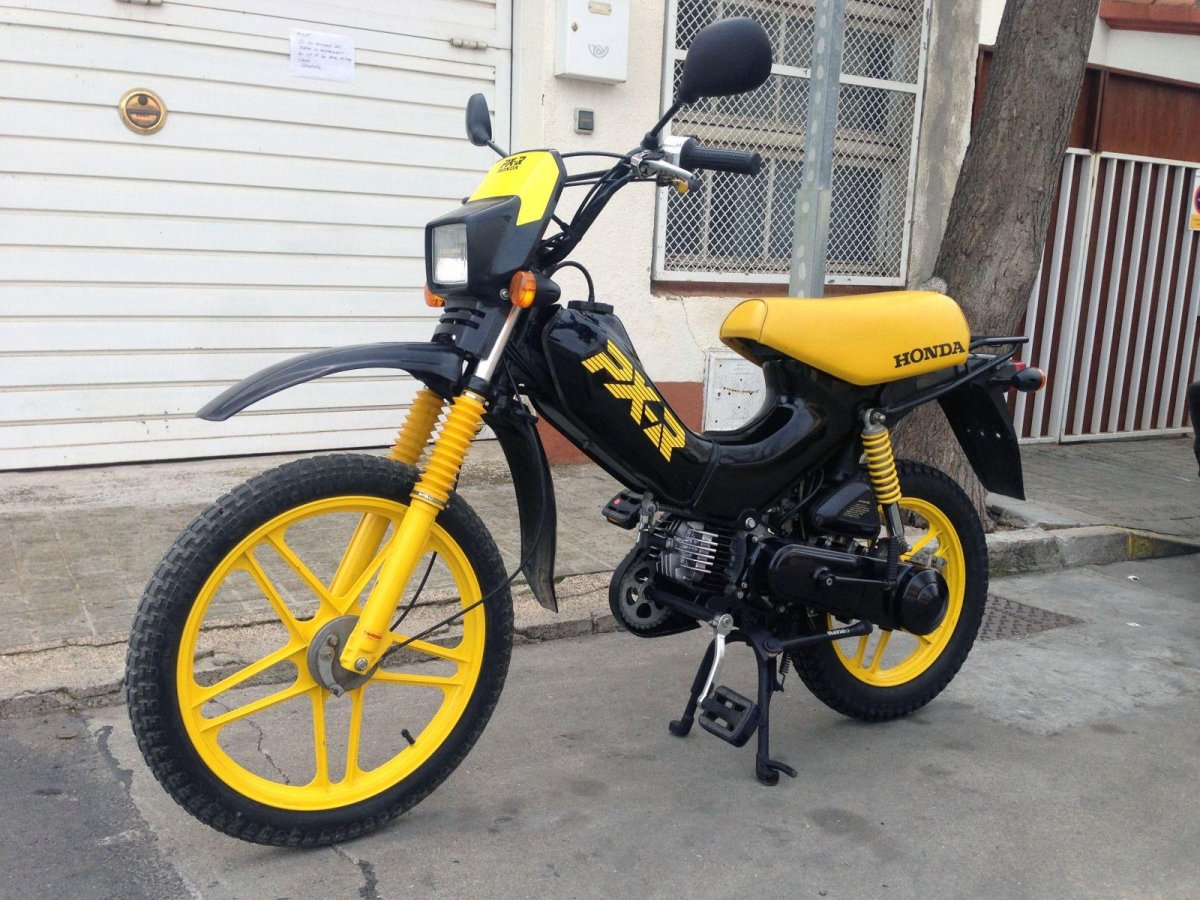 Honda px50