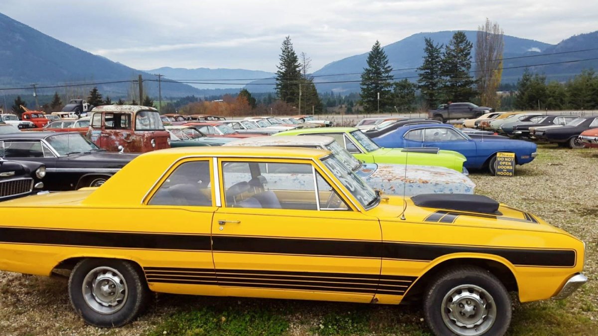 Канадские машины