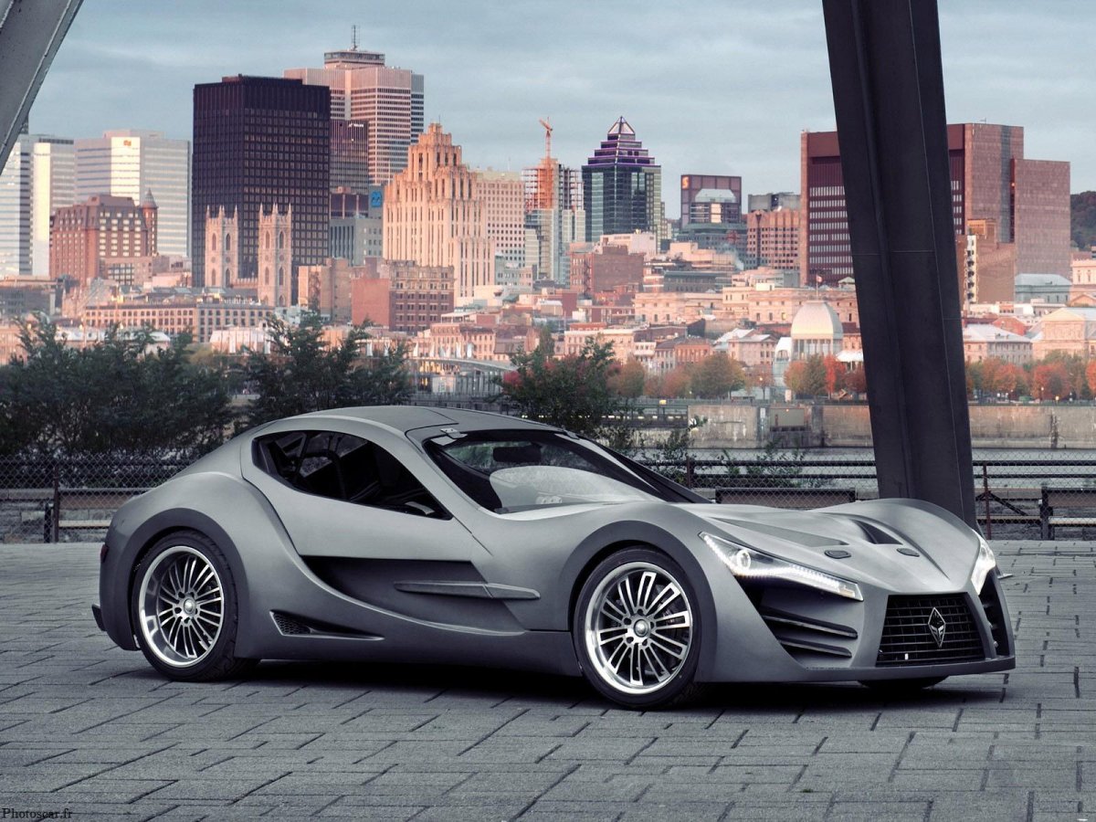 Felino cb7