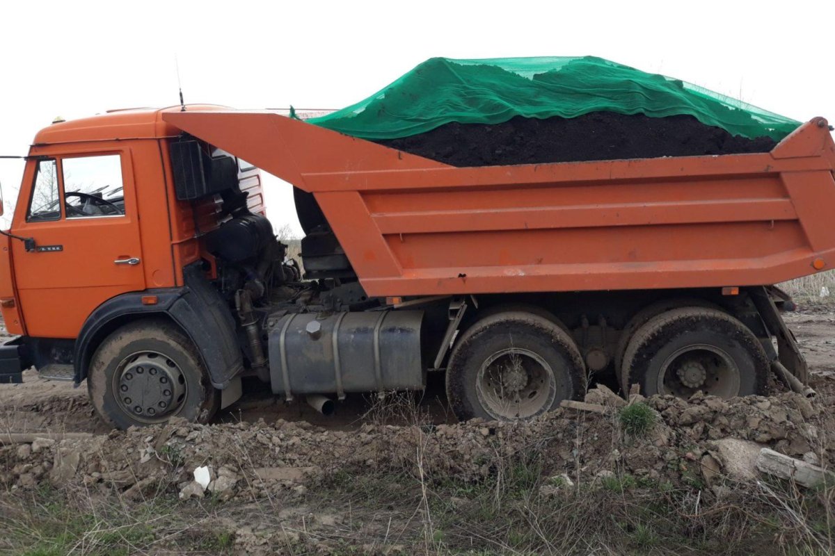 КАМАЗ С навозом