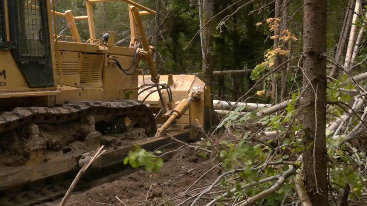 Строительство дорог противопожарного назначения в лесу