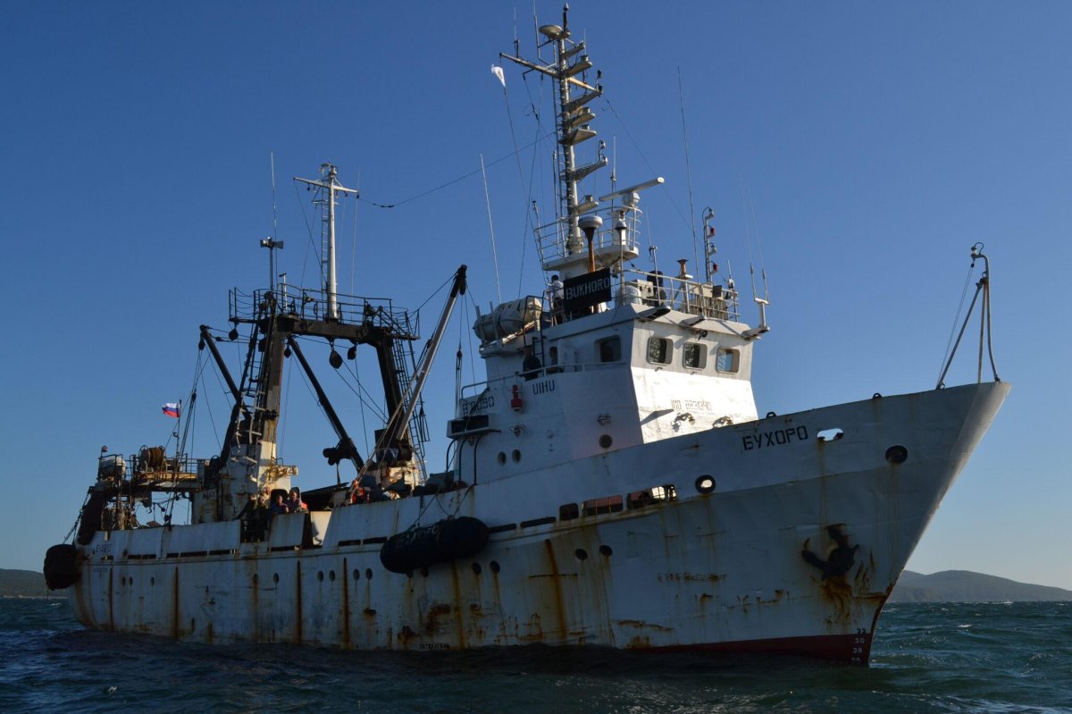 Траулер-сейнер «Василий Каплюк»