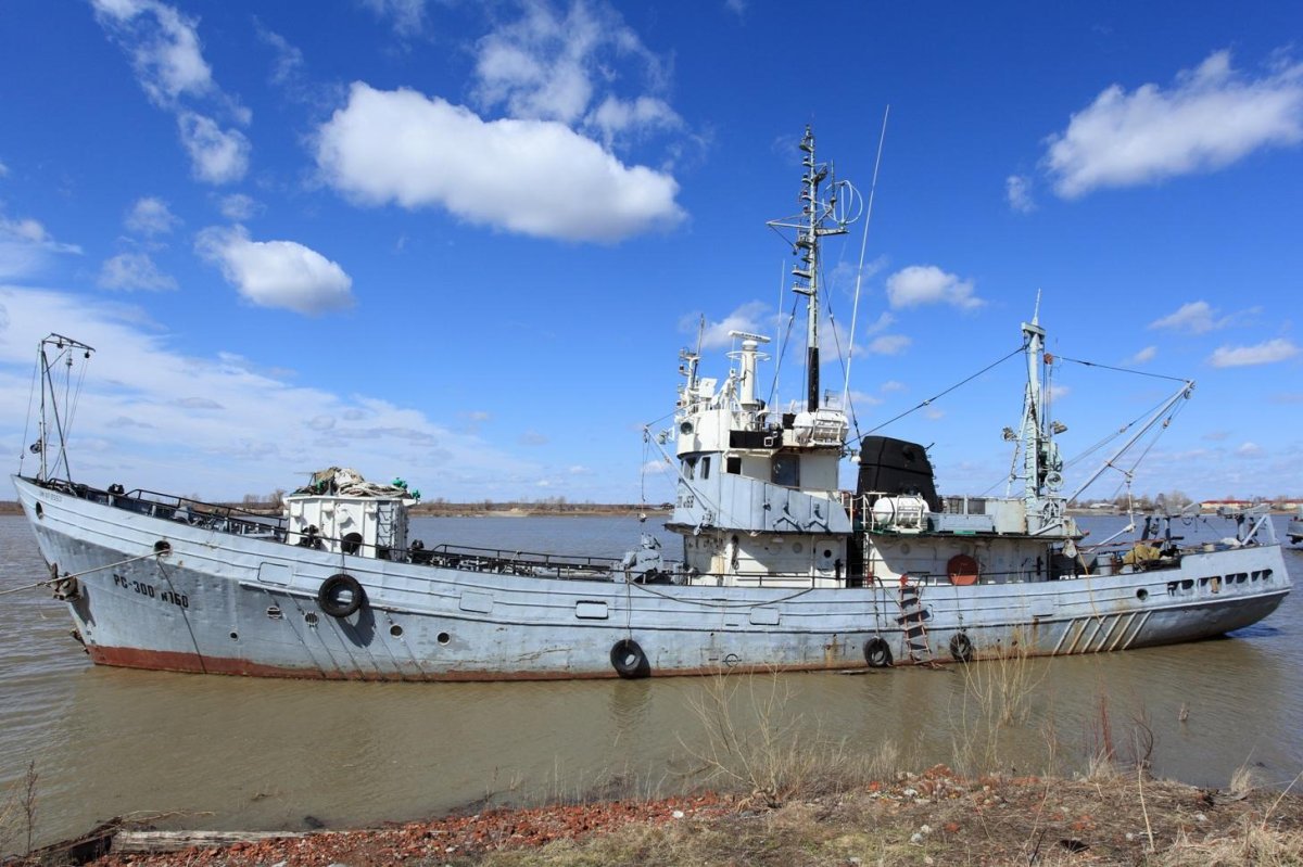 Сейнер-траулер рефрижераторный