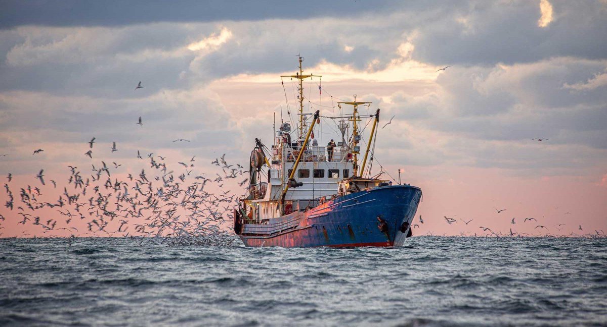 Рыболовецкий сейнер
