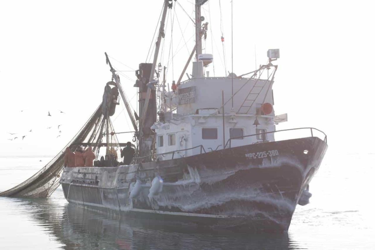 Пасифик Фиш Ресорсес