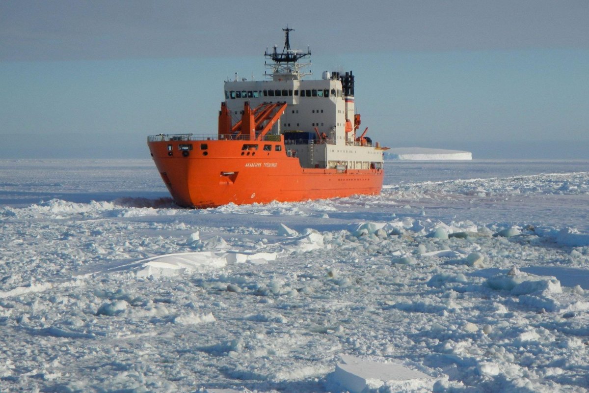 НЭС академик Трешников