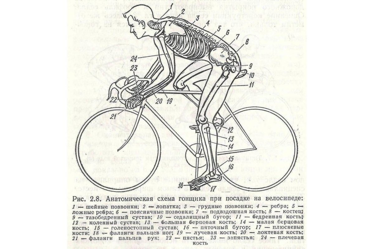 Шоссейный велосипед посадка схема