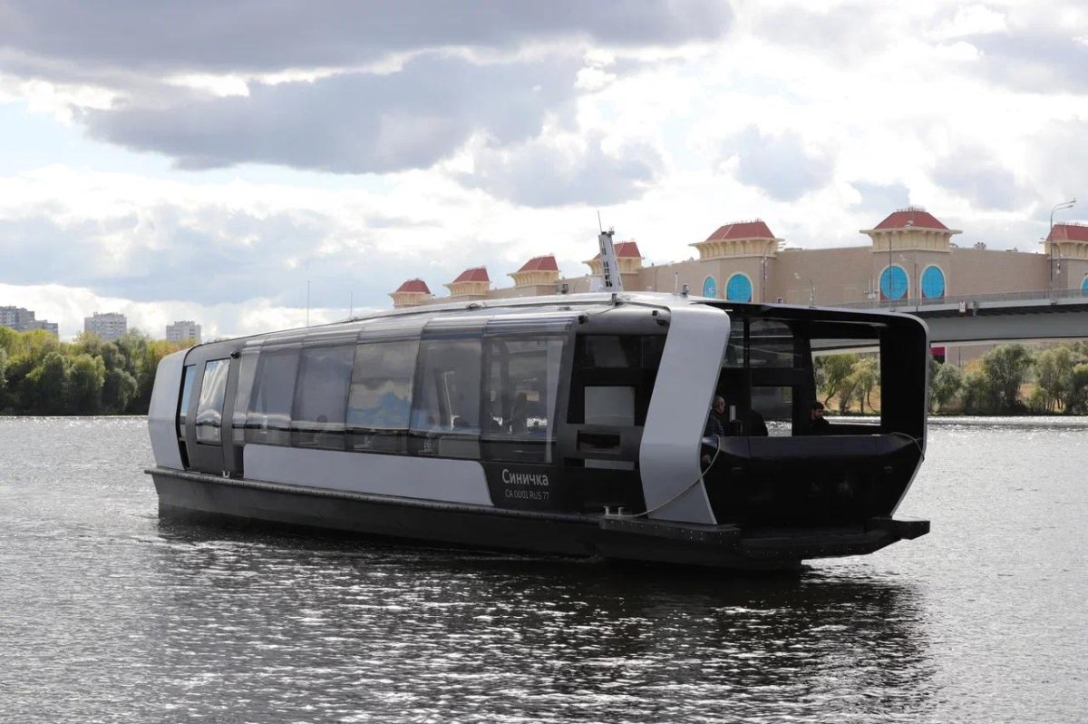 Теплоход синичка в Москве