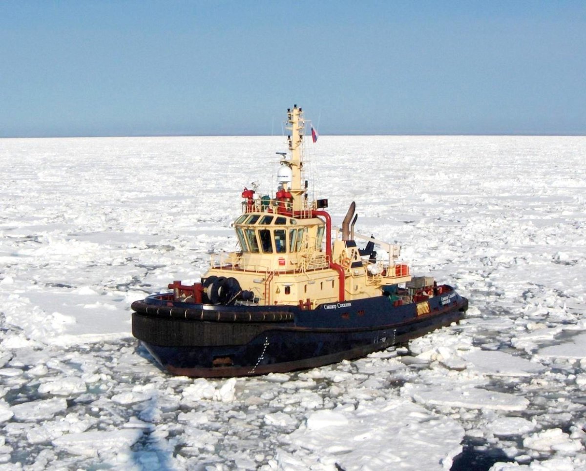 Свицер Сахалина