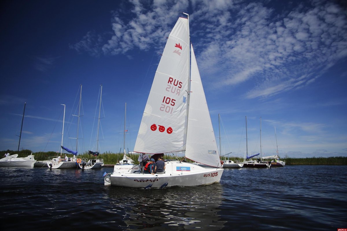 Парусная регата