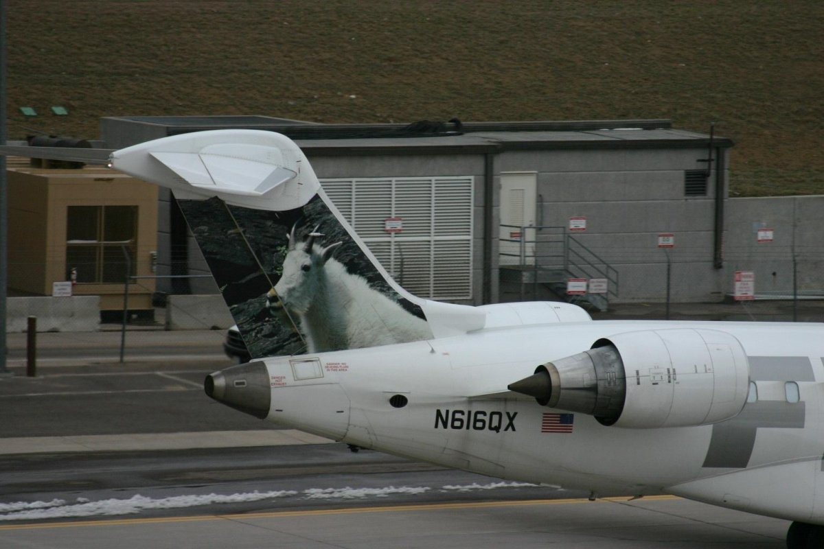 Canadair CL-327 Guardian БПЛА