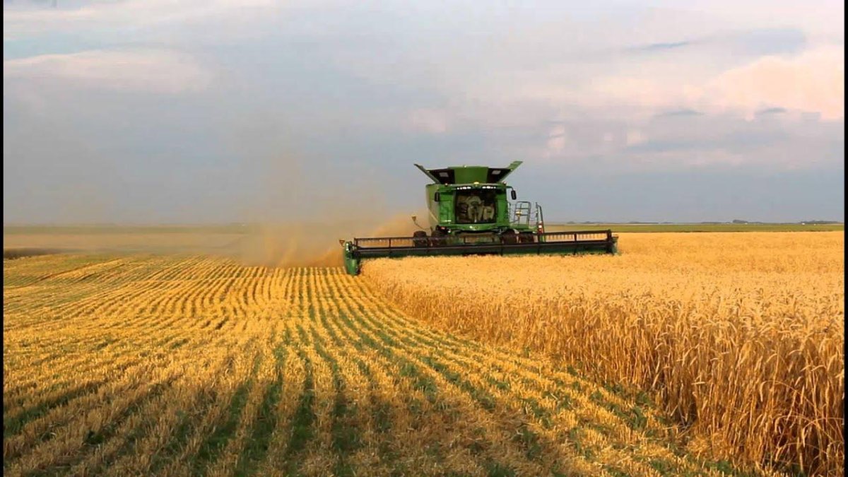 Комбайн Джон Дир в поле