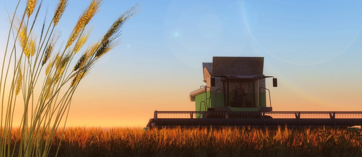 Комбайн Нива в поле