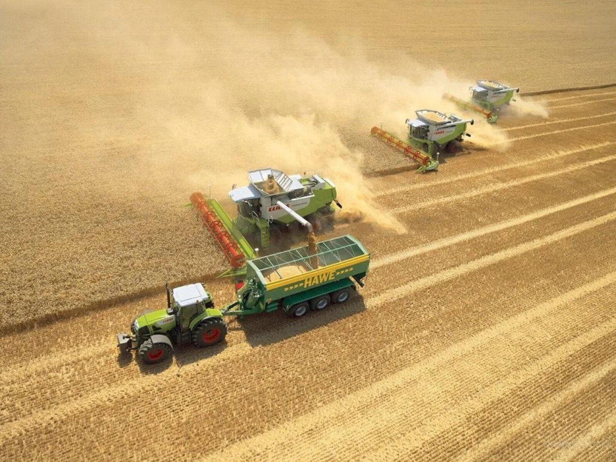 Сельское хозяйство