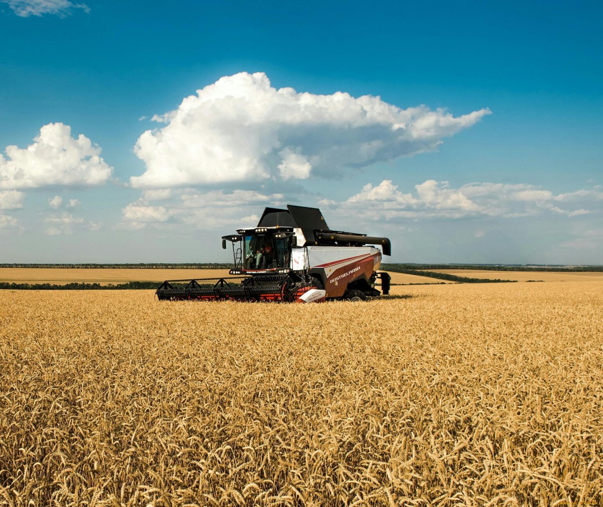 Ростсельмаш RSM 161 В поле