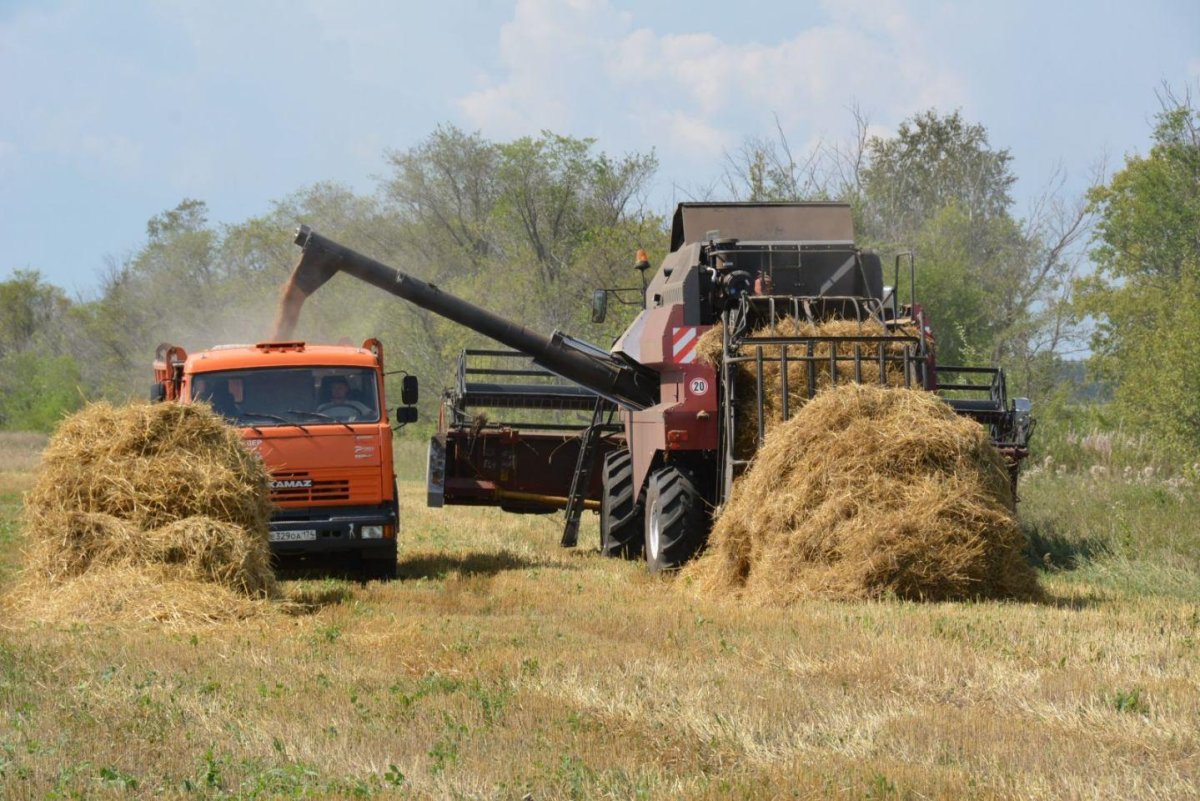 Уборка урожая