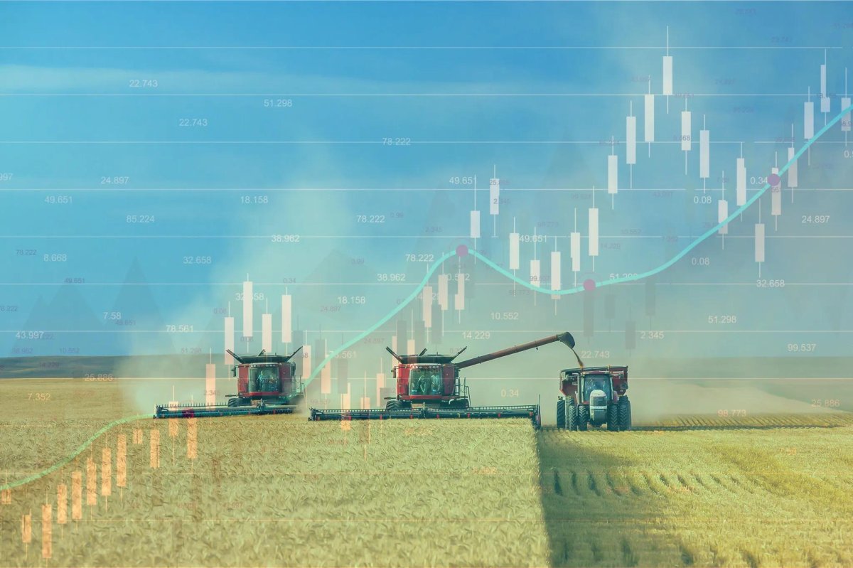 Сбор урожая в поле