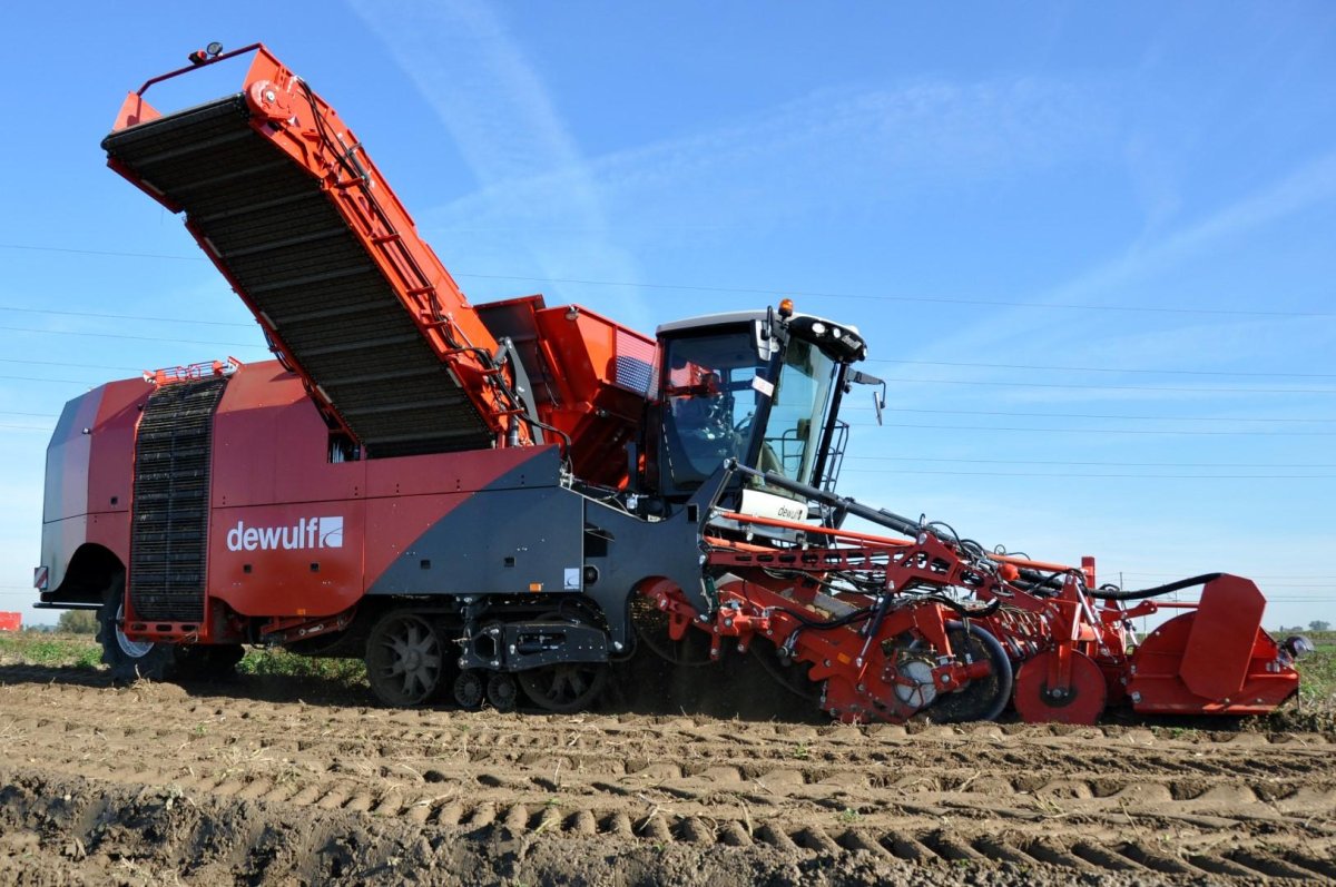 Dewulf картофельный комбайн