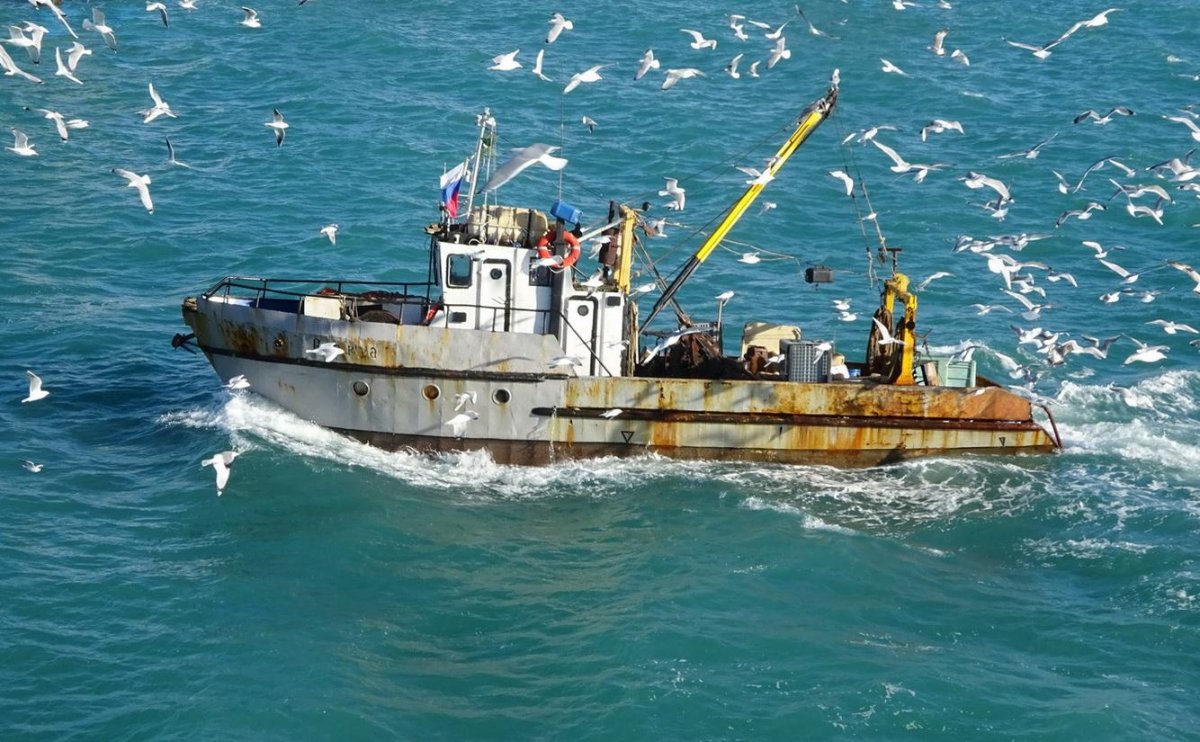 Судно проект БПМ-74м