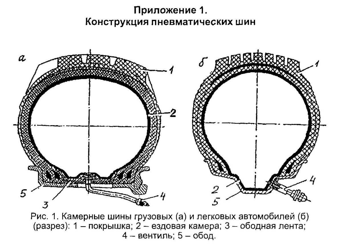 Поперечный разрез автомобильной шины