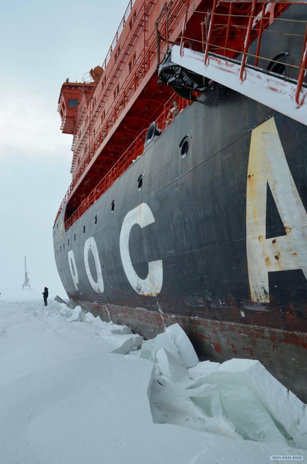 Арктика Севморпуть