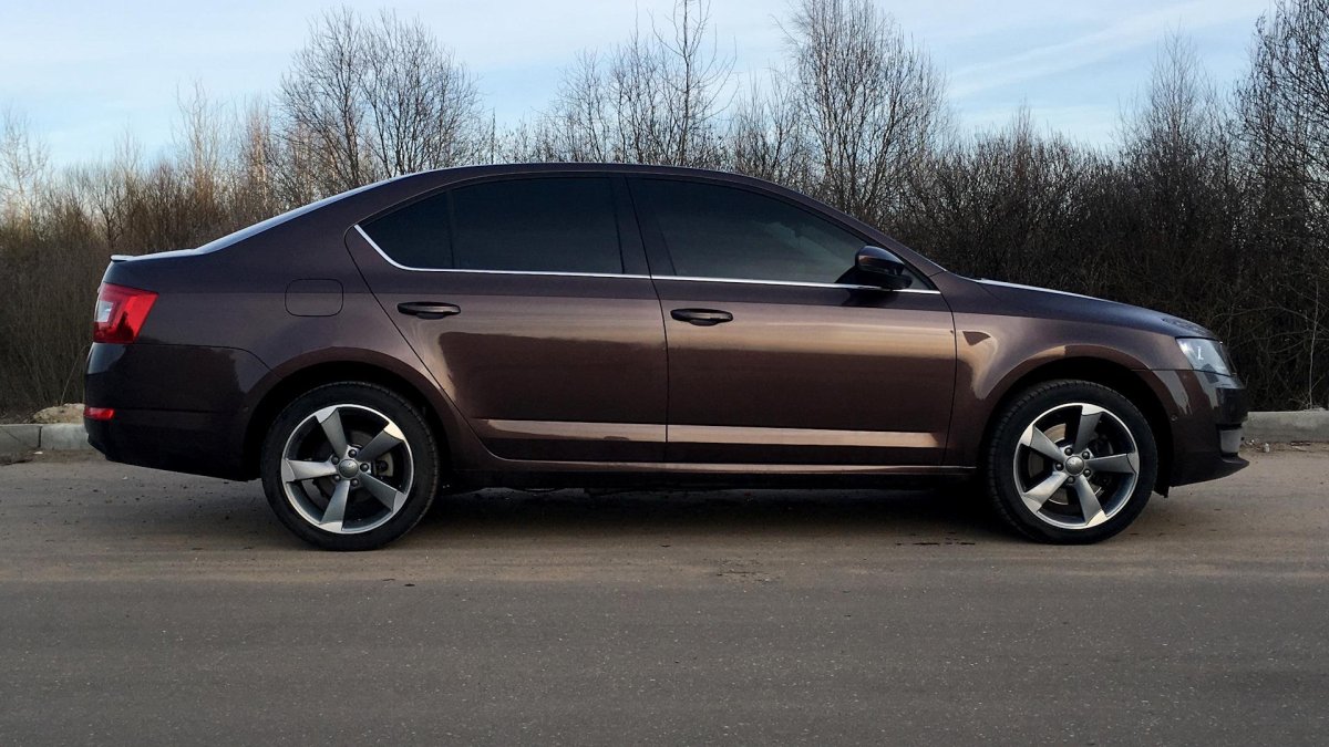 Skoda Octavia r17
