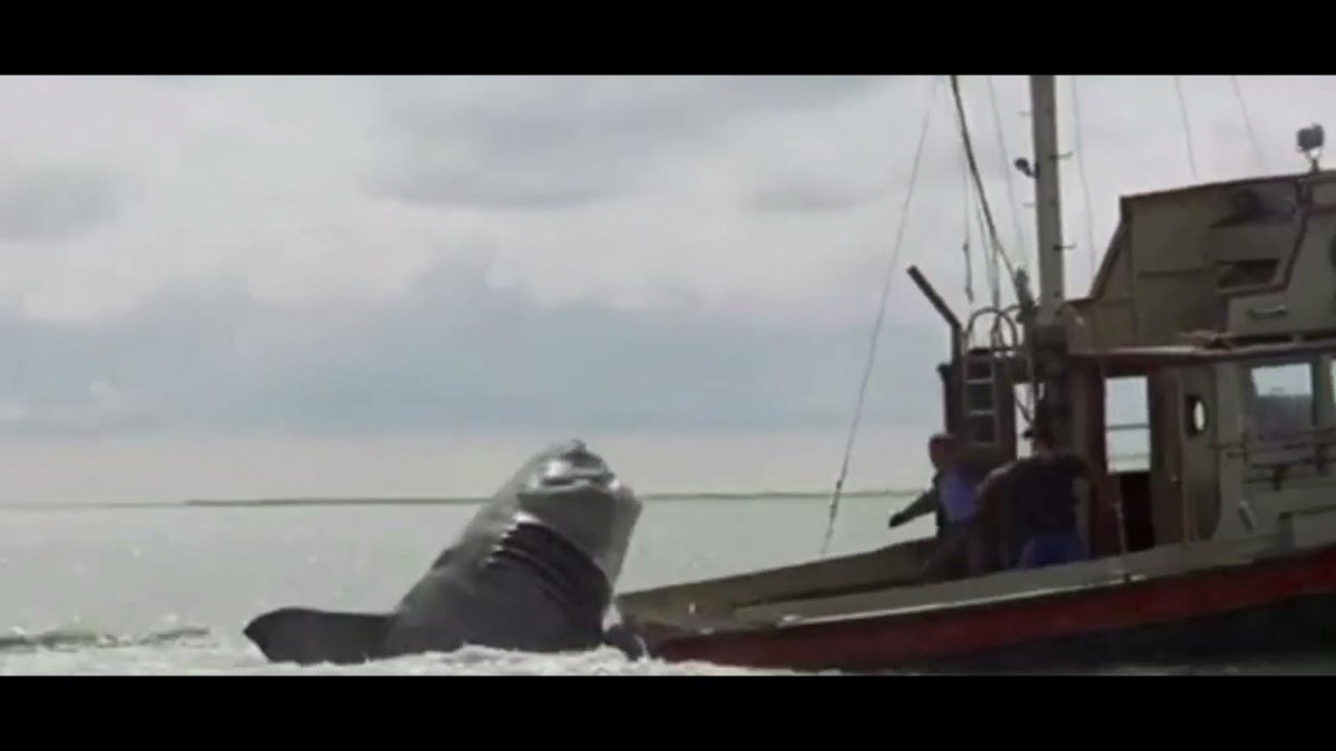 Акула нападает на корабль