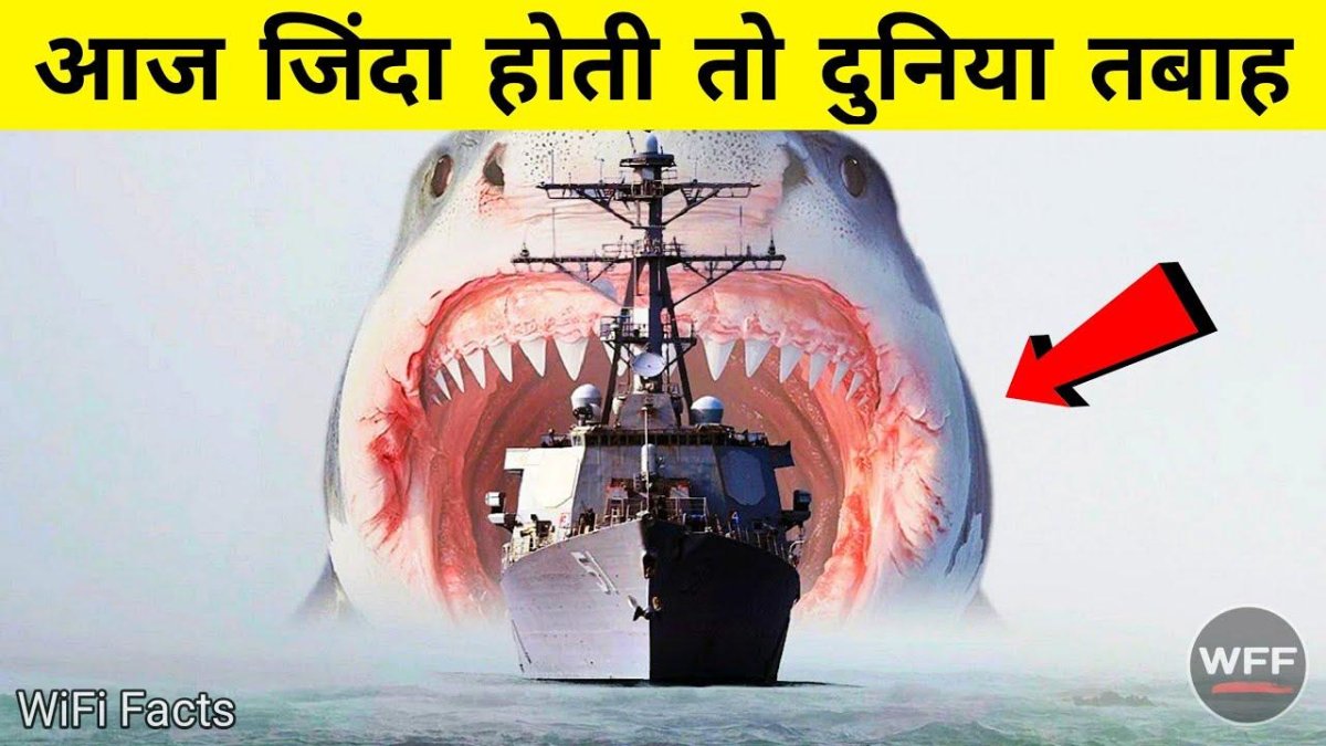 Атака МЕГАЛОДОНА