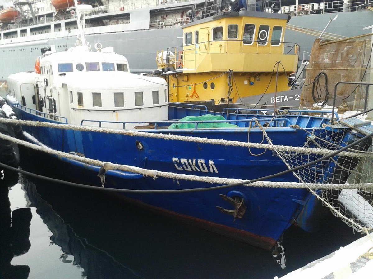 Проект 268 279 Тип нахимовец