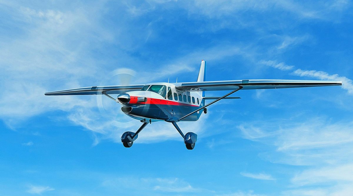 ЛМС-901 самолёт