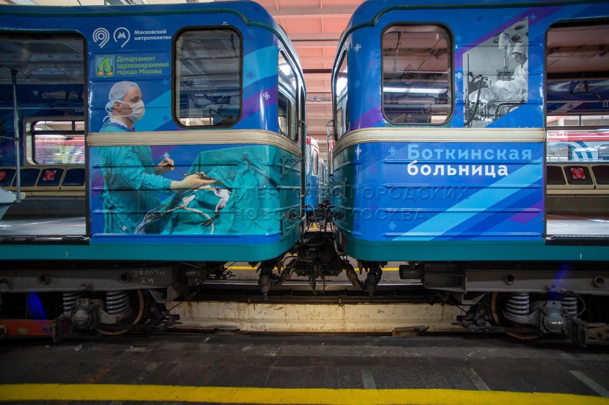 Тематический поезд в метро Боткинская больница