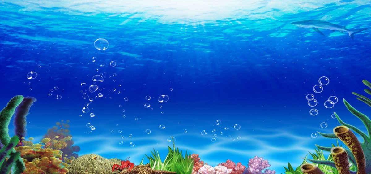 Океан под водой