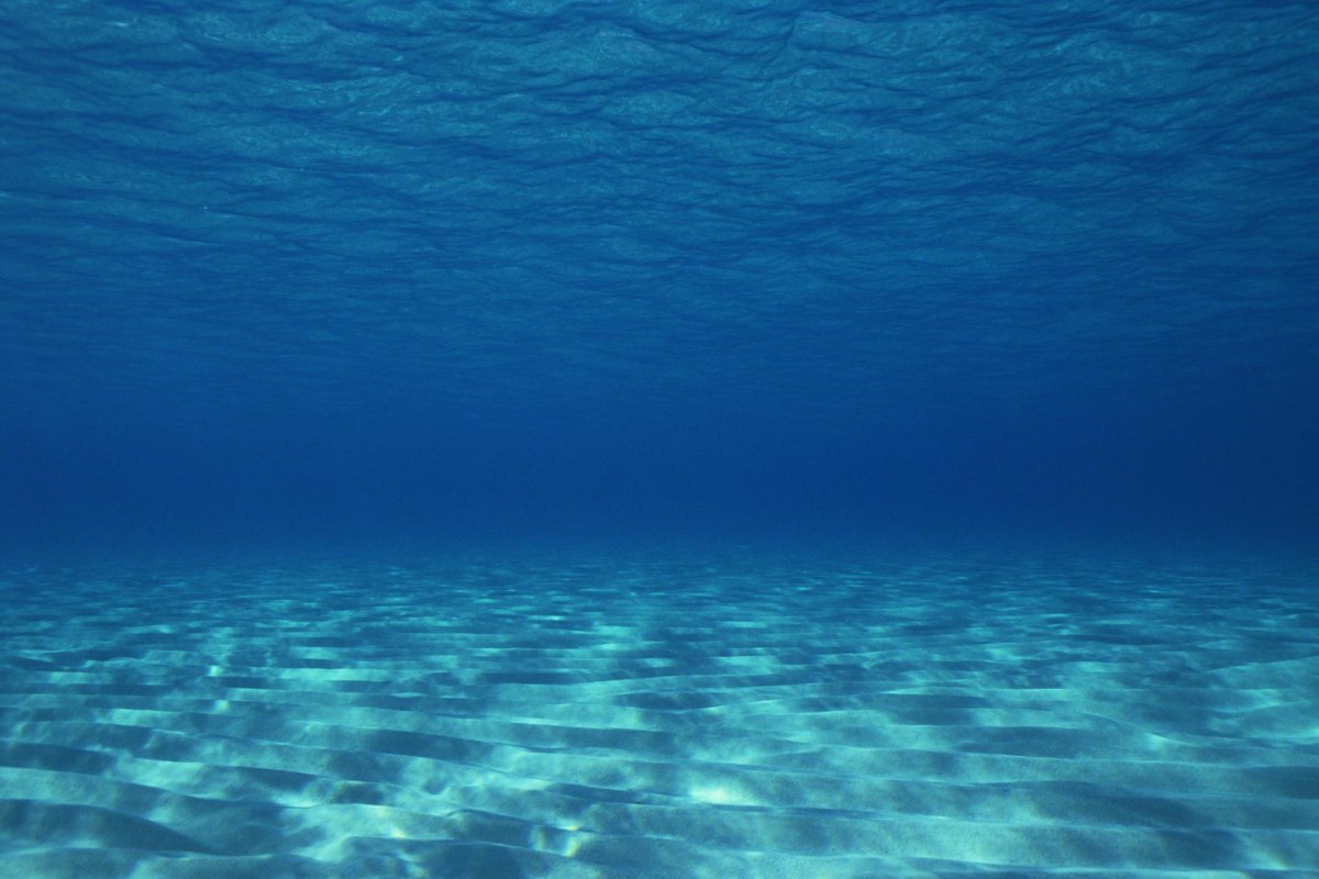 Морское дно