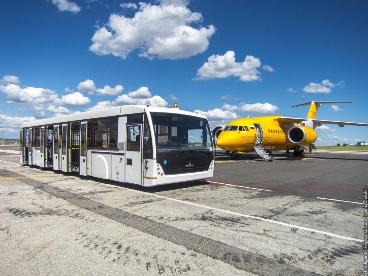 Перронный автобус МАЗ