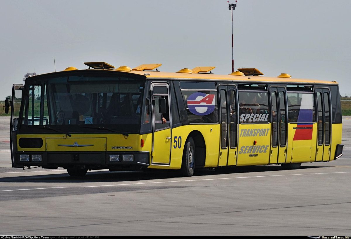 Перронный автобус МАЗ